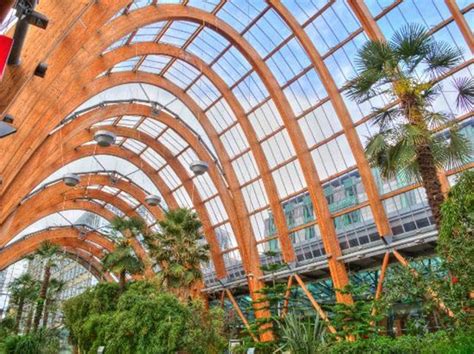   The Sheffield Winter Garden: Kohtaaminen Lämpimän Tropiikin Sydämmessä