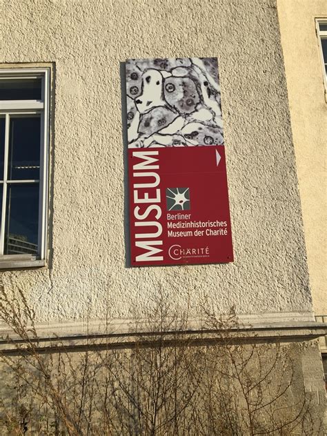  Linyi Museum - Kaivon syvyydestä historiaan ja taiteeseen!