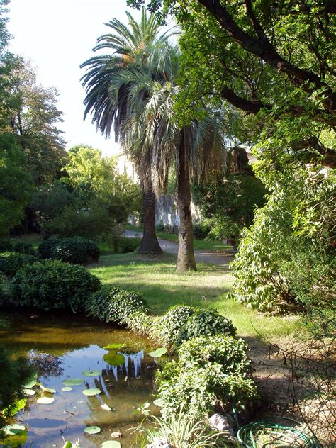  Walter Sisulu National Botanical Garden: Luontoa ja Historiaa Etelä-Afrikan Sydämessä!