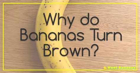 Can I Tan with a Spray Tan? And Why Do Bananas Glow in the Dark?