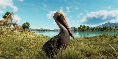 Far Cry 6 How to Feed Pelicans: A Dive into the Unexpected and the Absurd