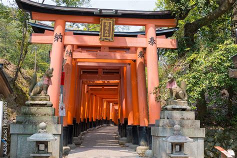 Fushimi Inari-taishapyhättö, ikuisesti punainen toriiportti!