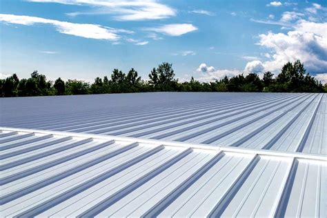 What is the Best Coating for Metal Roof? Exploring the Unpredictable World of Roofing Solutions